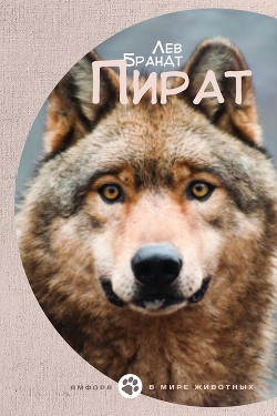 Читать онлайн книгу Пират автор Брандт Лев Владимирович Книга Пират