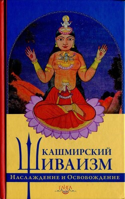 Читать онлайн книгу Кашмирский шиваизм. Наслаждение и Освобождение автор Пандит Баладжиннатх Книга Кашмирский шиваизм. Наслаждение и Освобождение