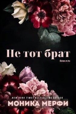 Читать онлайн книгу Не тот брат (ЛП) автор Мерфи Моника Книга Не тот брат (ЛП)