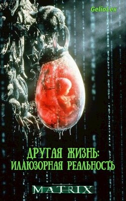 Книга Другая жизнь: Иллюзорная реальность (СИ)