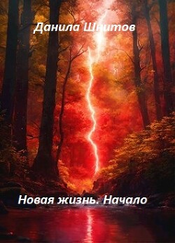 Читать онлайн книгу Начало (СИ) автор Шнитов Данила Книга Начало (СИ)