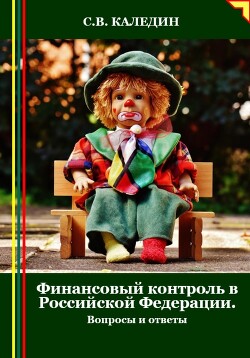 Книга Финансовый контроль в Российской Федерации. Вопросы и ответы
