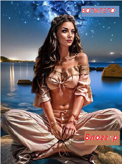 Книга Блоггер (СИ)