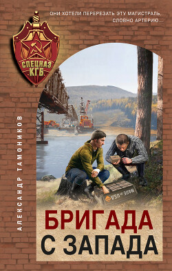 Читать онлайн книгу Бригада с запада автор Тамоников Александр Книга Бригада с запада