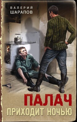 Читать онлайн книгу Палач приходит ночью автор Шарапов Валерий Книга Палач приходит ночью
