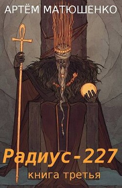Читать онлайн книгу Радиус 227 книга третья (СИ) автор Матюшенко Артем Книга Радиус 227 книга третья (СИ)
