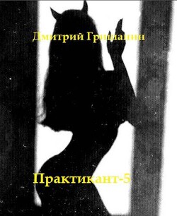 Книга Практикант 5 (СИ)