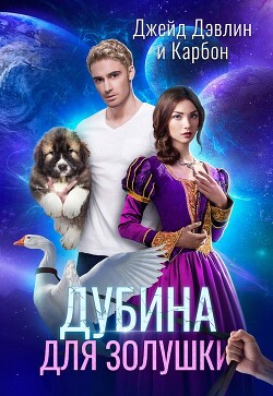 Книга Дубина для Золушки