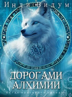 Книга Дорогами алхимии (СИ)