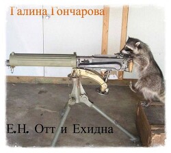 Книга Е.Н. Отт и Ехидна (СИ)