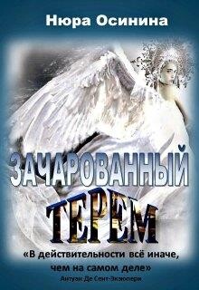 Книга Зачарованный терем (СИ)