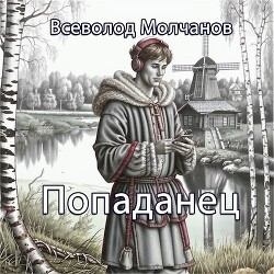 Книга Попаданец (СИ)