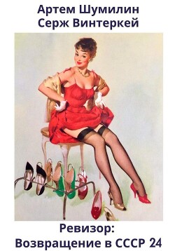 Книга Ревизор: возвращение в СССР 24