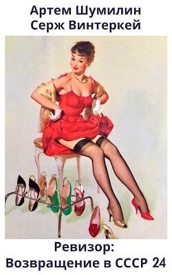 Книга Ревизор: возвращение в СССР 24 (СИ)