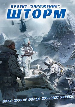 Книга ШТОРМ. За бурей не всегда приходит рассвет (СИ)
