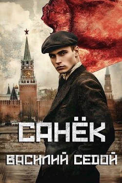 Книга Санек (СИ)