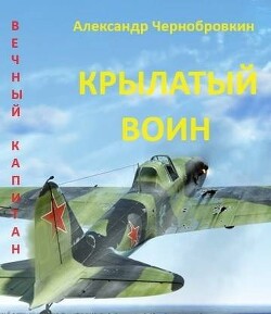 Книга Крылатый воин (СИ)