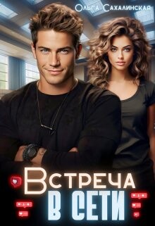 Книга Встреча в сети (СИ)