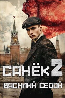 Книга Санек 2 (СИ)