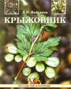 Книга Крыжовник