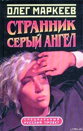 Книга Цена посвящения: Серый Ангел