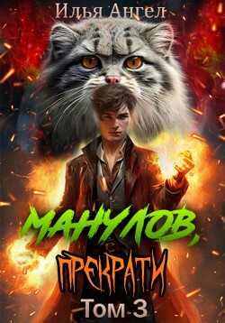 Читать онлайн книгу Манулов, прекрати! Том 3 автор Ангел Илья Книга Манулов, прекрати! Том 3