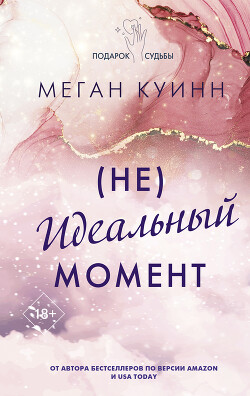 Книга (Не)идеальный момент