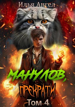 Читать онлайн книгу Манулов, прекрати! Том 4 автор Ангел Илья Книга Манулов, прекрати! Том 4