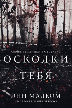 Читать онлайн книгу Осколки тебя (ЛП) автор Малком Энн Книга Осколки тебя (ЛП)