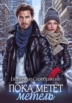 Книга Пока метёт метель
