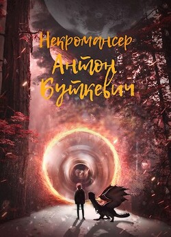 Читать онлайн книгу Некромансер (СИ) автор Буткевич Антон Книга Некромансер (СИ)