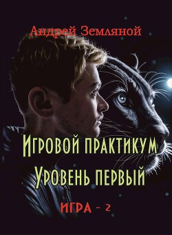 Книга Игровой практикум (СИ)