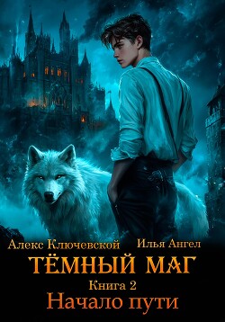 Книга Тёмный маг. Книга 2. Начало пути