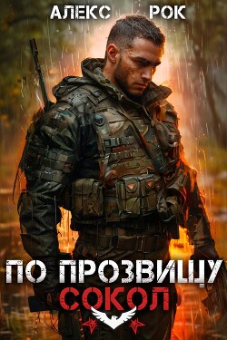 Книга По прозвищу «Сокол». Том 1
