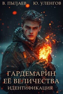 Книга Идентификация (СИ)