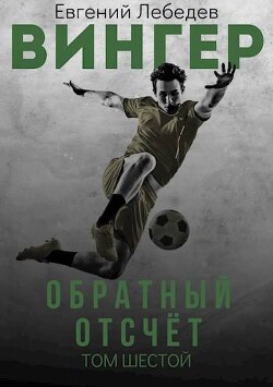 Книга Обратный отсчет (СИ)