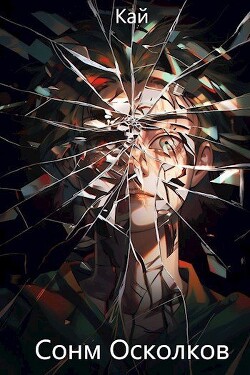 Читать онлайн книгу Сонм Осколков. Том 1 (СИ) автор Книга Сонм Осколков. Том 1 (СИ)