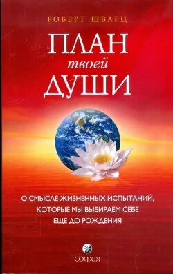 Книга План твоей души. О смысле жизненных испытаний, которые мы выбираем себе еще до рождения