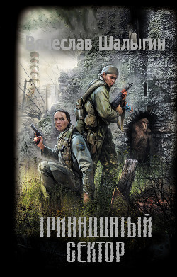 Читать онлайн книгу Тринадцатый сектор автор Шалыгин Вячеслав Владимирович Книга Тринадцатый сектор