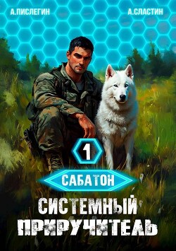 Книга Системный приручитель 1 (СИ)