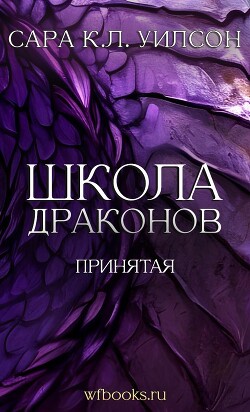 Книга Принятая (ЛП)