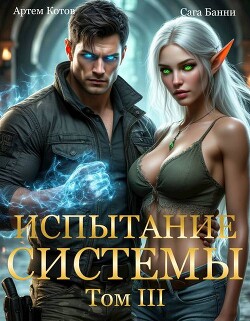 Читать онлайн книгу Испытание Системы III (СИ) автор Книга Испытание Системы III (СИ)