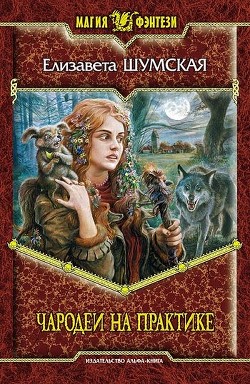 Читать онлайн книгу Чародеи на практике автор Шумская Елизавета Книга Чародеи на практике