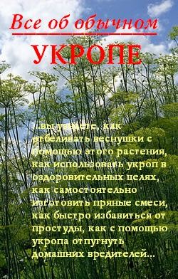 Книга Все об обычном укропе