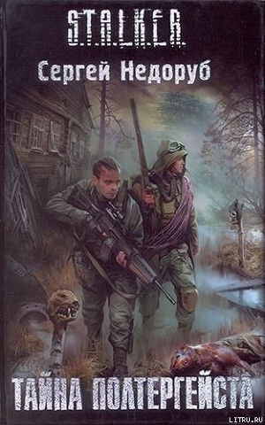 Читать онлайн книгу Тайна Полтергейста автор Недоруб Сергей Книга Тайна Полтергейста