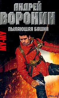 Книга Пылающая башня