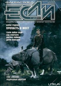 Книга Пропасть и мост