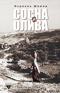 Читать онлайн книгу Сосна и олива или Неприметные прелести Святой Земли автор Шамир Исраэль Книга Сосна и олива или Неприметные прелести Святой Земли