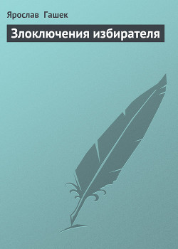 Книга Злоключения избирателя